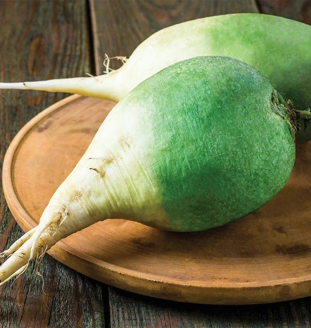 Wasabi Radish Seeds