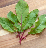 RD699 Saisai Purple Leaf Radish