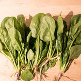 Yukon Spinach Seeds