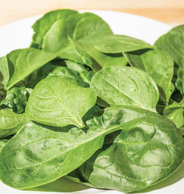 Yukon Spinach Seeds