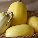 Spaghetti Squash