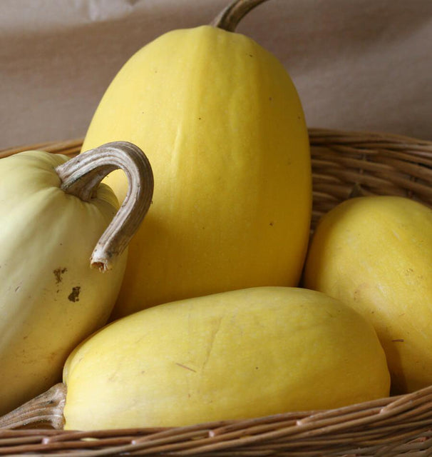 Spaghetti Squash