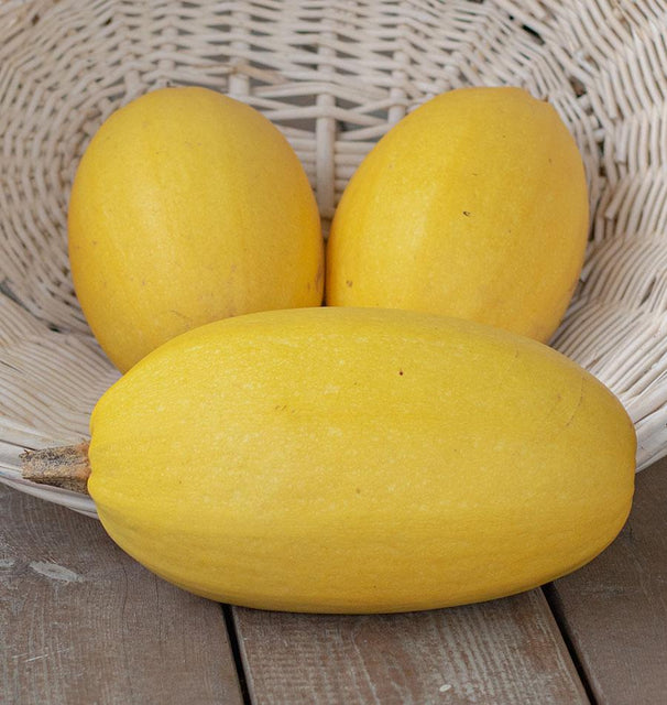 Vegetable Spaghetti Squash