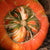 Turks Turban