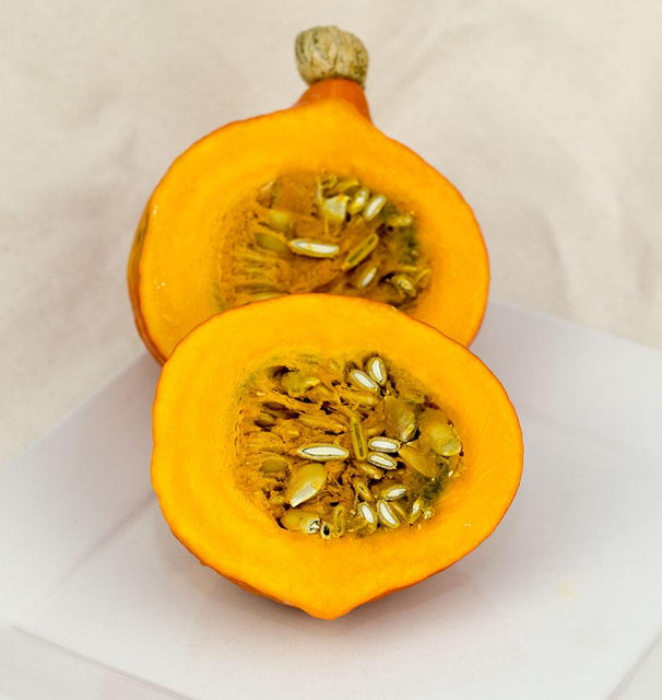 plant kabocha squash seeds Shokichi Red Mini Kabocha
