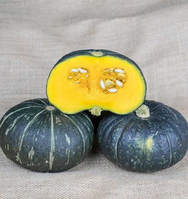 Kurninishiki Mini Kabocha Squash Seeds