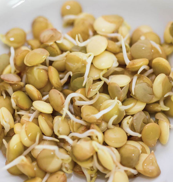 WCS Green Lentils -100g