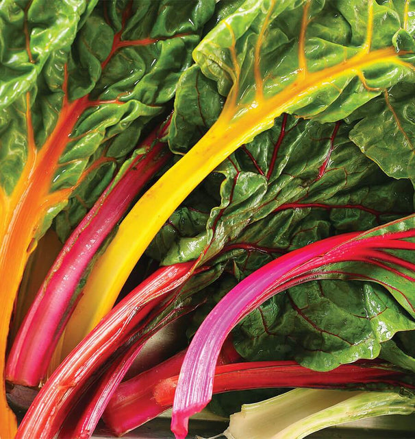 Celebration Swiss Chard Blend