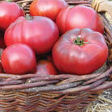 Black Krim Organic tomato seeds TM794 4