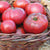 Black Krim Organic tomato seeds TM794 4