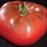 Black Krim Organic tomato seeds TM794 1