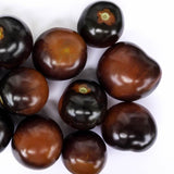 indigo-rose-organic-tomato-seeds TM799-3