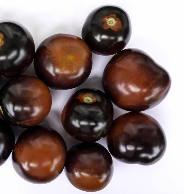 indigo-rose-organic-tomato-seeds TM799-3