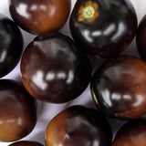 indigo-rose-organic-tomato-seeds TM799-4