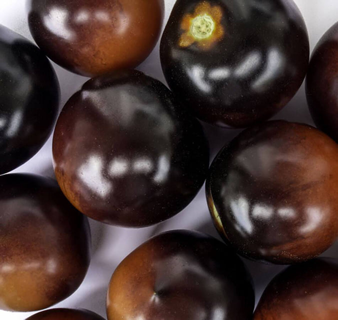 indigo-rose-organic-tomato-seeds TM799-4