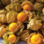 Aunt Molly's Ground Cherry Seeds TM809-1
