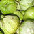 Toma Verde
