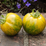 Green Zebra Organic