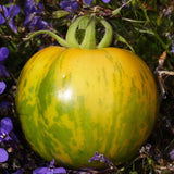 Green Zebra Organic
