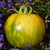 Green Zebra Organic
