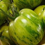 Green Zebra Organic