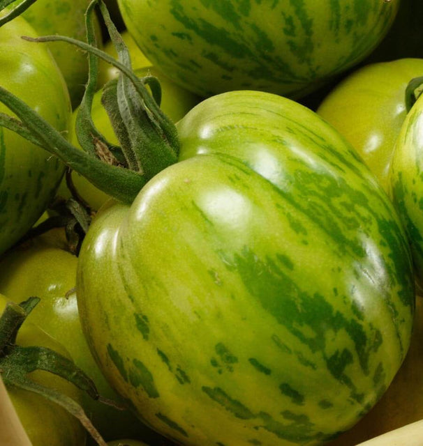 Green Zebra Organic