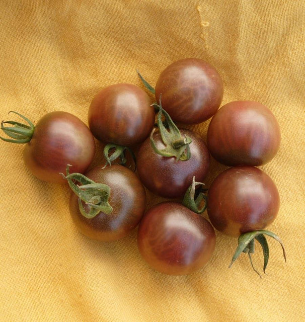 Black Cherry