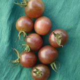 Black Cherry
