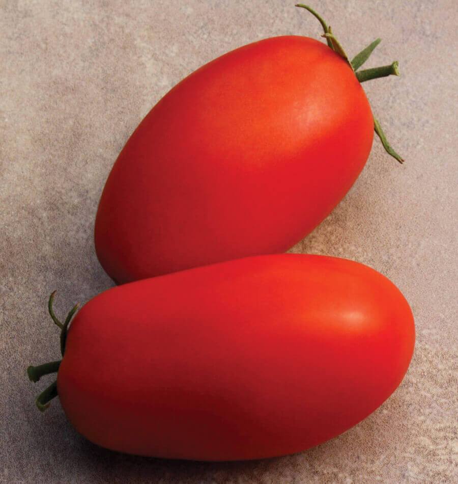 Supremo Roma Tomato Seeds – West Coast Seeds