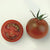 Sunchocola Cherry Tomato TM830-2