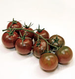 Sunchocola Cherry Tomato TM830-3