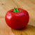 Tasti-Lee Tomato Seeds