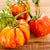 Get Stuffed Organic