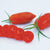 Prairie Fire Organic