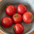Red Racer Organic Tomato Seeds