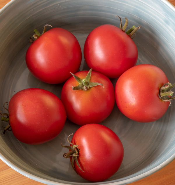 Red Racer Organic Tomato Seeds