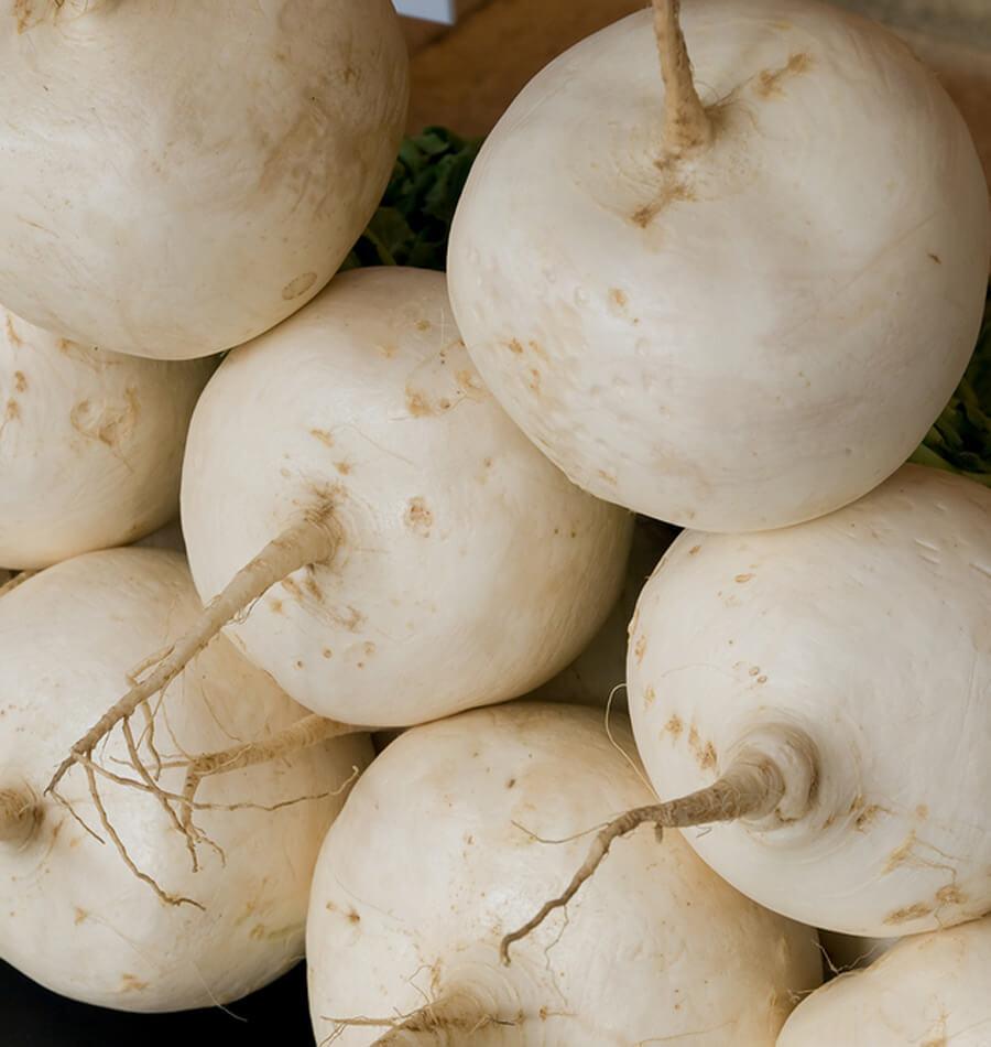Hakurei Turnip Seeds West Coast Seeds