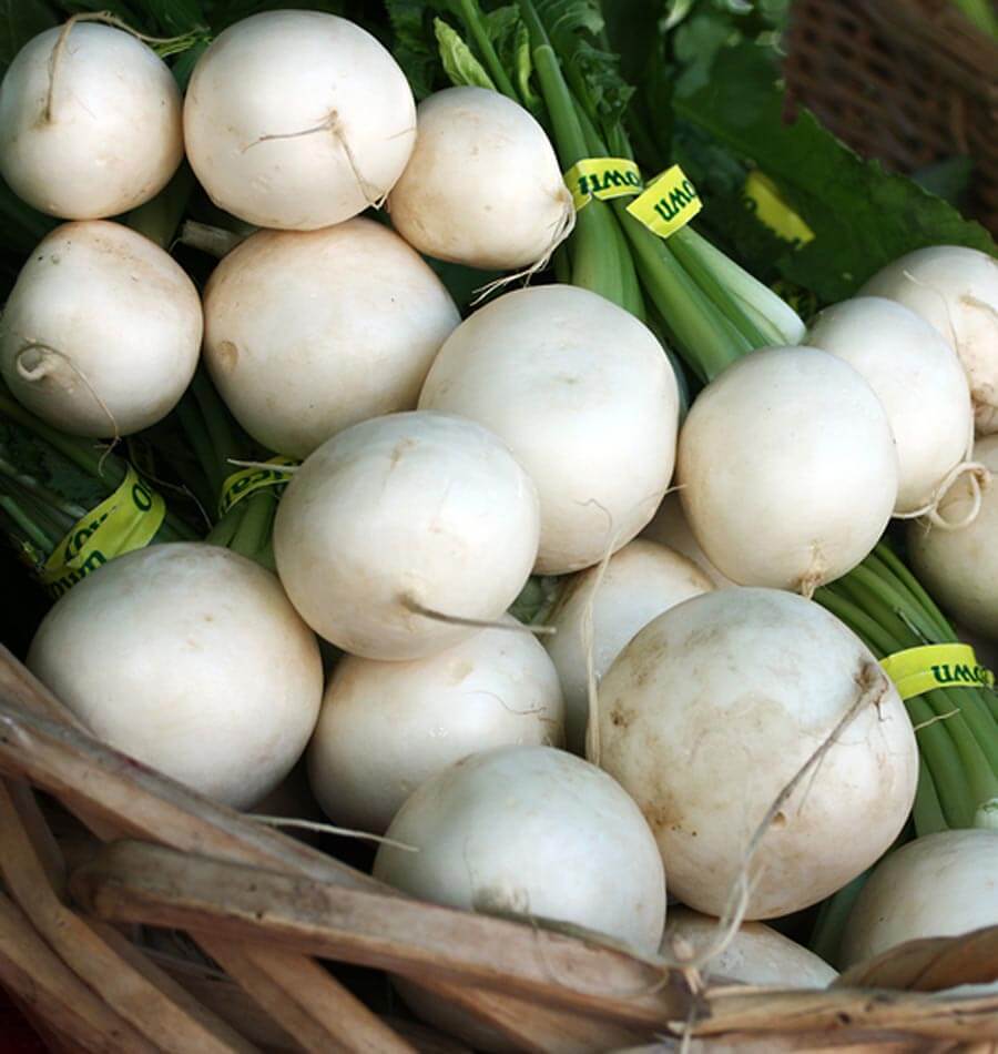 Tokyo Cross Turnip Seeds – West Coast Seeds