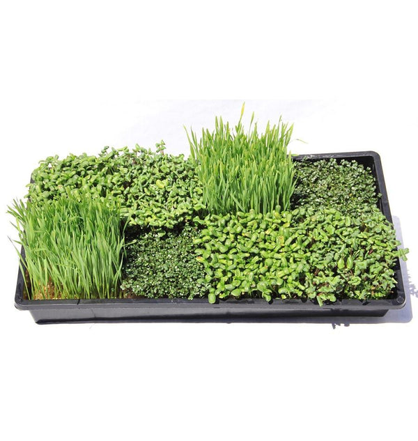 Terrafibre Hemp Grow Mats 5 x 5