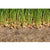 Terrafibre Hemp Grow Mats 5 x 5