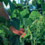 Trellis Netting 6x6" Squares
