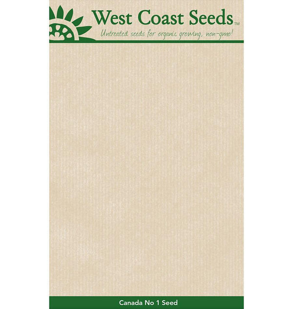 Blank Seed Packets
