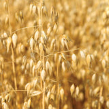 Oats