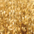 Oats