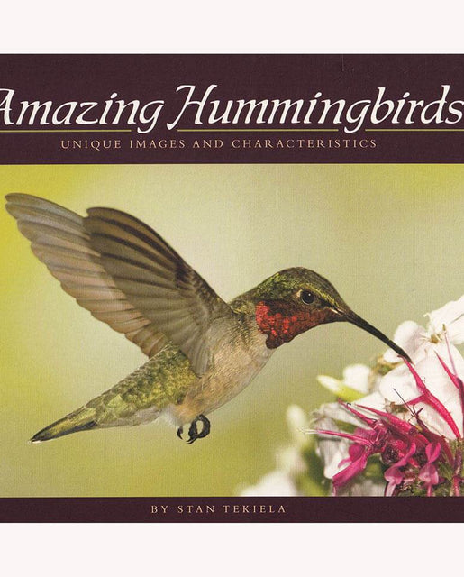Amazing Hummingbirds Book