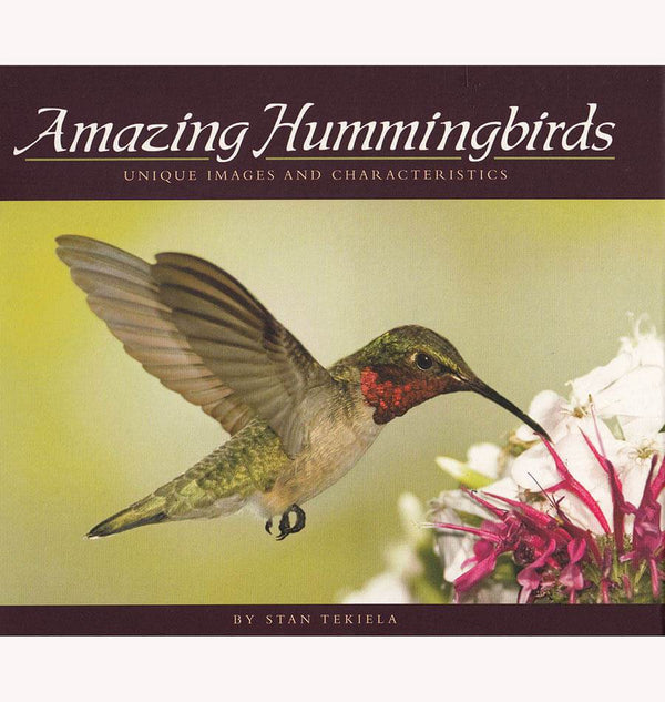 Amazing Hummingbirds Book