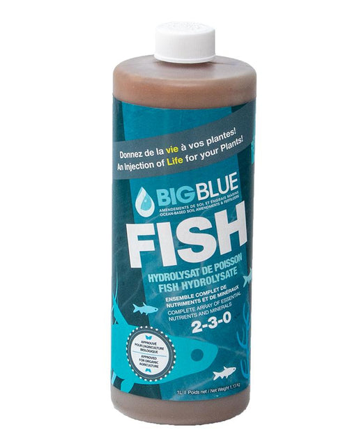 Big Blue Fish 2-3-0