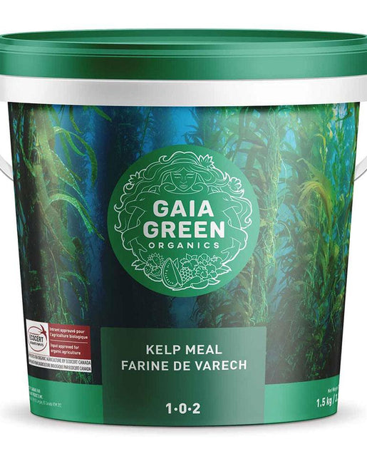 Gaia Kelp Meal 1-0-2 Soil Amendment – West Coast Seeds