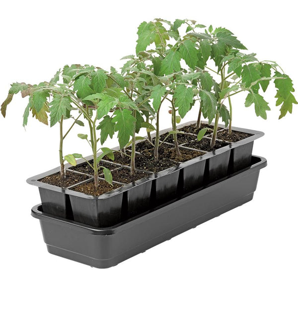 Grow Ease Starter Kit 12 Cell