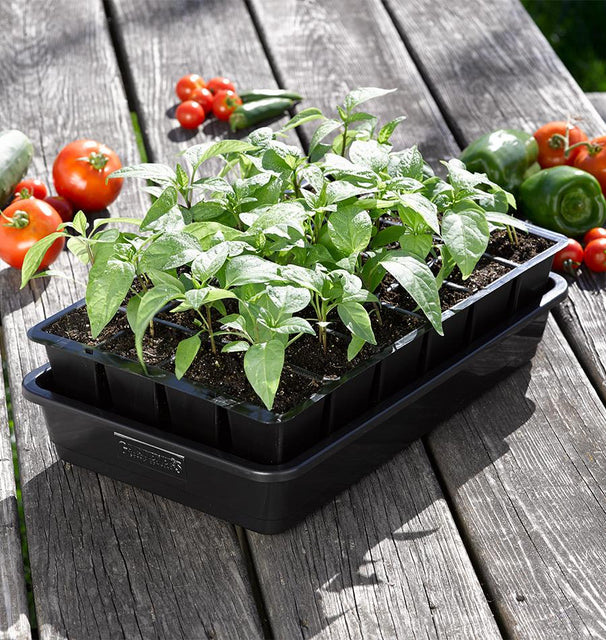 starter kit for planting seeds Grow Ease Starter Kit 24 Cell – West Coast Seeds